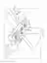 Fig. 22 - Partition mount system including head coupler with adjustable head length and head position