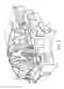 Fig. 08 - Capsule, beverage production machine and system for the preparation of a nutritional product