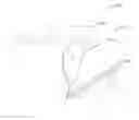 Fig. 01 - HOLDER DEVICE FOR SLICING FOOD ITEMS