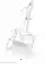 Fig. 02 - Whisk broom with squeegee