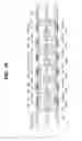 Fig. 10 - ENDOSCOPE