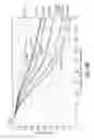 Fig. 24 - Multi-angle rear-viewing endoscope and method of operation thereof