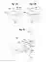 Fig. 09 - NASAL AEROSOL DELIVERY SYSTEM