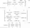 Fig. 08 - CONCENTRATION CALCULATION SYSTEM OF OPTICALLY ACTIVE SUBSTANCE AND NON-TRANSITORY COMPUTER READABLE MEDIUM STORING PROGRAM