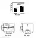 Fig. 30 - IMPLANTABLE AND BIORESORBABLE SENSORS