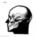 Fig. 02 - Method and apparatus for unambiguously determining orientation of a human head in 3D geometric modeling