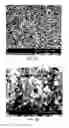 Fig. 09 - System and methods for wireless drug delivery on command