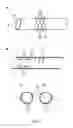 Fig. 02 - Device for Biosensing With Indwelling Venous Catheter