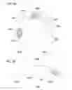 Fig. 07 - BIOMEDICAL DEVICES FOR BIOMETRIC BASED INFORMATION COMMUNICATION RELATED TO FATIGUE SENSING