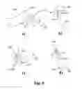 Fig. 10 - System, apparatus and method for measurement of muscle stiffness