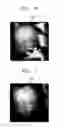 Fig. 07 - IMAGE PROCESSING APPARATUS AND METHOD