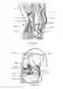 Fig. 28 - SUTURE PASSING SYSTEMS AND METHODS