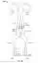 Fig. 11 - Skin straining devices and methods