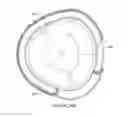 Fig. 45 - Apparatus and methods for introducing portals in bone
