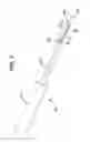Fig. 02 - FLUTED BONE AWL AND METHOD OF USE