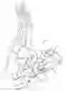 Fig. 01 - Surgical jig assembly for use in the manipulation and fixation of bony structures