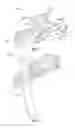 Fig. 04 - VERTEBRAL FIXATION DEVICES, SYSTEMS, AND METHODS