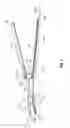 Fig. 02 - Surgical forceps