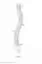 Fig. 08 - Ultrasonic systems and methods for examining and treating spinal conditions