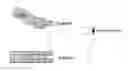 Fig. 01 - System and method for robotic digital scanning of teeth