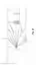Fig. 22 - Embolus blood clot filter delivery system