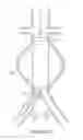 Fig. 26 - Devices and methods for treatment of abdominal aortic aneurysm