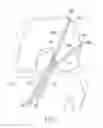 Fig. 02 - Tissue graft fixation