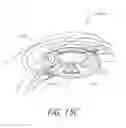 Fig. 19 - Accommodating intraocular lenses