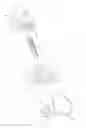 Fig. 01 - Femoral implant systems