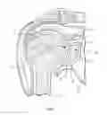 Fig. 02 - Shoulder arthroplasty system with combination humeral sizer, trial, and guide