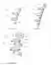 Fig. 06 - Artificial intervertebral disc implant device