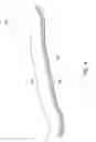 Fig. 05 - Protective eyewear