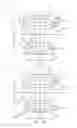 Fig. 17 - Absorbent Articles With Elastics In Multiple Layers