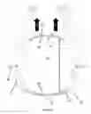 Fig. 05 - Neonatal chest splint for applying negative distending pressure