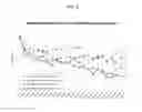 Fig. 03 - METHOD FOR TREATING AND/OR PREVENTING ACNE SCARS WITH A FIXED COMBINATION OF ADAPALENE OR ITS SALTS AND BENZOYL PEROXIDE