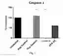 Fig. 02 - Compositions Comprising 15-HEPE and Methods of Treating or Preventing Cancer and Neurologic Disease