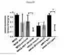 Fig. 06 - Compositions and methods for inhibiting the growth of multi-drug resistant microbes