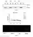 Fig. 02 - Methods and pharmaceutical compositions for the treatment of beta-thalassemias