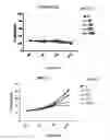Fig. 03 - Methods and pharmaceutical compositions for the treatment of beta-thalassemias