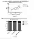 Fig. 06 - Methods and pharmaceutical compositions for the treatment of beta-thalassemias