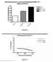 Fig. 07 - Methods and pharmaceutical compositions for the treatment of beta-thalassemias
