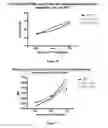 Fig. 08 - Methods and pharmaceutical compositions for the treatment of beta-thalassemias