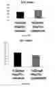 Fig. 11 - Methods and pharmaceutical compositions for the treatment of beta-thalassemias