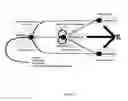 Fig. 02 - Methods and Compositions for Treating Vasomotor Symptoms
