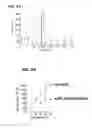 Fig. 06 - Drug treatment of overactive bladder