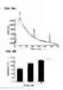 Fig. 07 - Drug treatment of overactive bladder