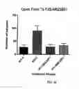 Fig. 22 - Neuroprotective bicyclic compounds and methods for their use in treating autism spectrum disorders and neurodevelopmental disorders