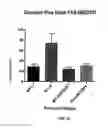 Fig. 28 - Neuroprotective bicyclic compounds and methods for their use in treating autism spectrum disorders and neurodevelopmental disorders