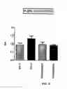 Fig. 33 - Neuroprotective bicyclic compounds and methods for their use in treating autism spectrum disorders and neurodevelopmental disorders