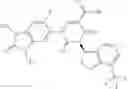 Fig. 474 - Bicyclically substituted uracils and the use thereof